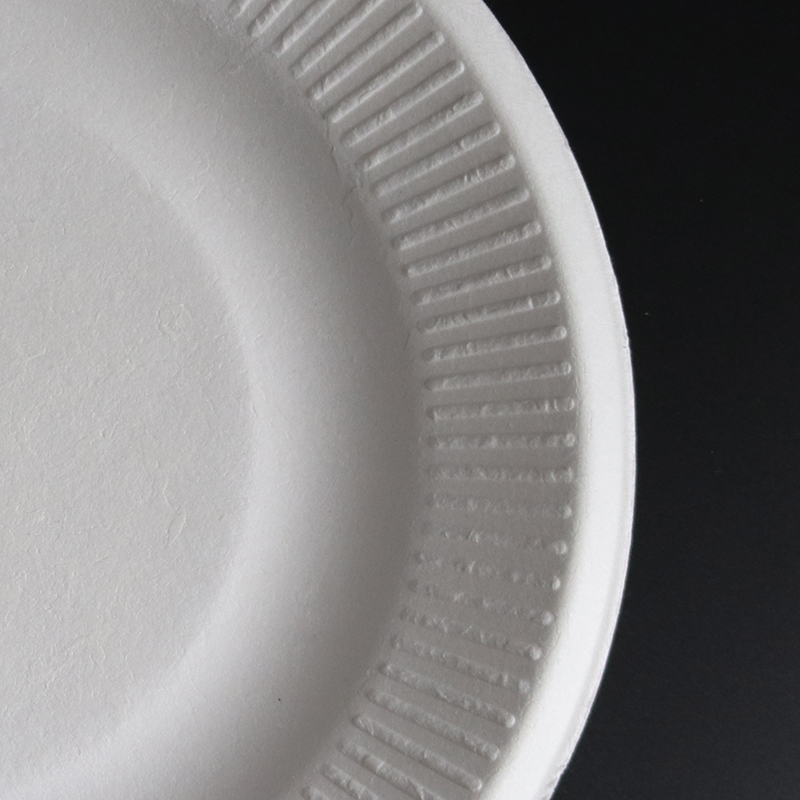 Wholesale Green Bagasse Pulp Food Containers Disposable Plate