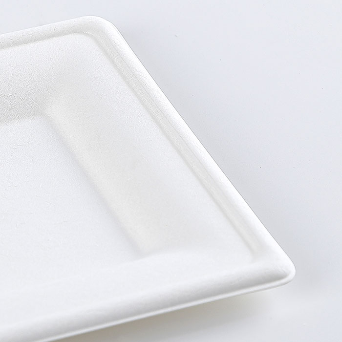 6" Natural Disposable Plates Sugarcane Bagasse Containers Compostable Paper Plate