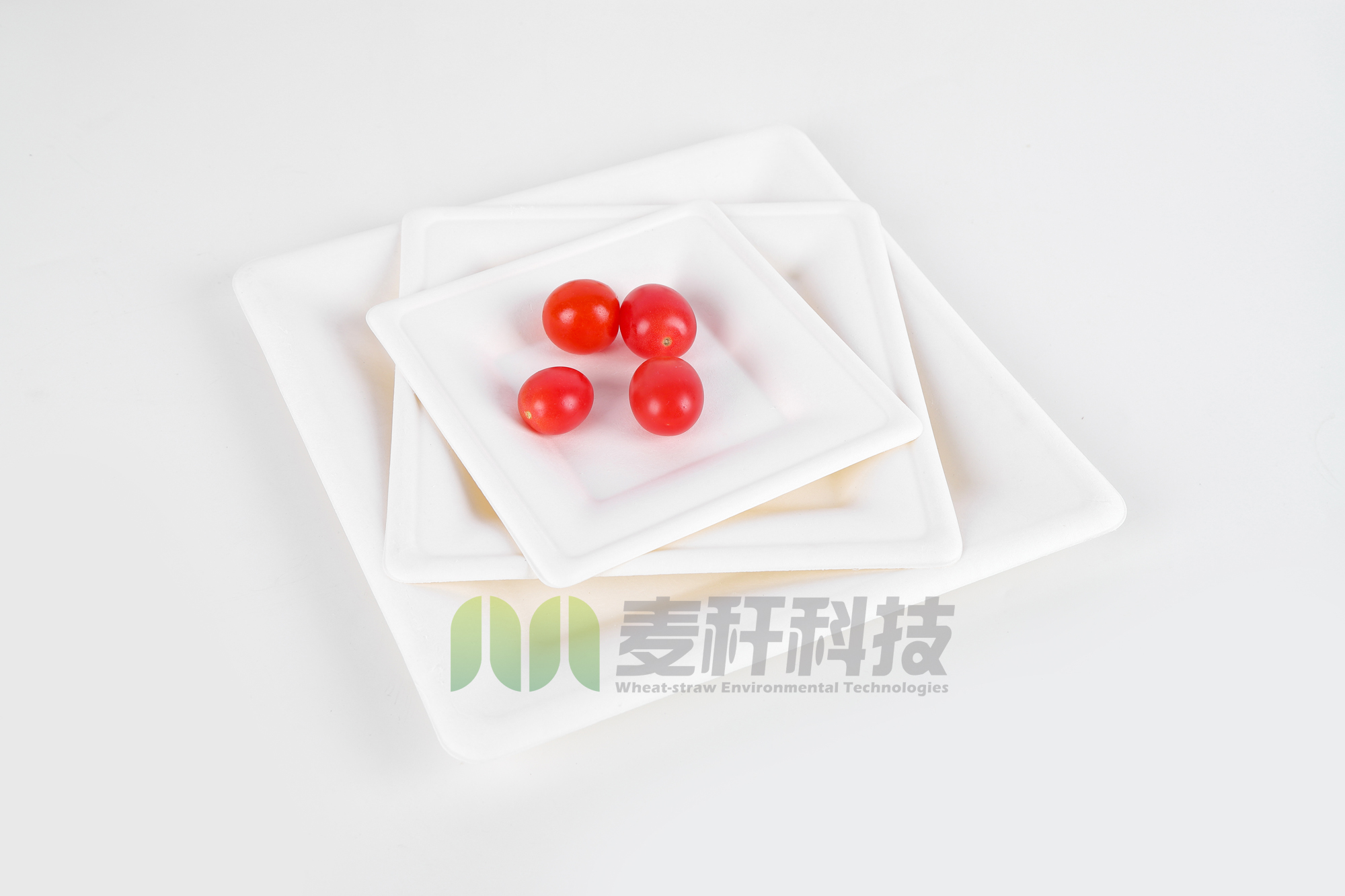 3 parts Round White Dessert Sugarcane Biodegradable sugarcane Disposable Plate