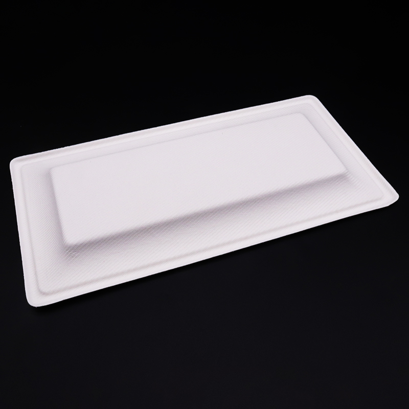 Disposable Biodegradable Sugarcane Bagasse Packing Rectangular Trays Plate Dish Rectangle Food Customized Pattern Engraving 4000