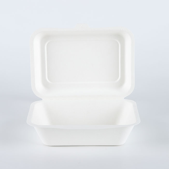 600ml sugar cane bagasse compostable takeout lunch box