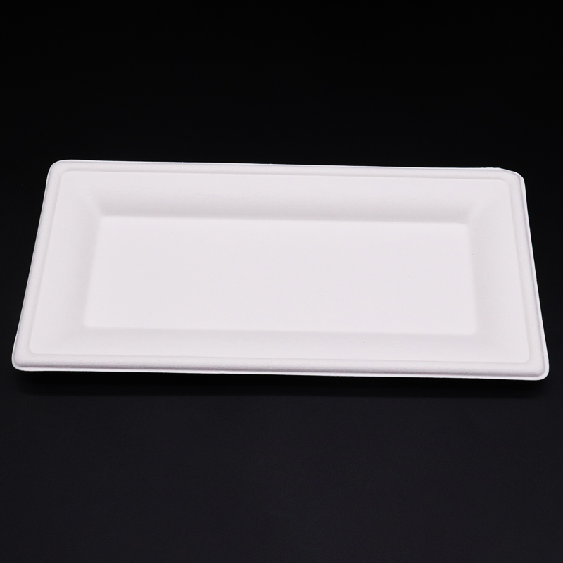 Disposable Biodegradable Sugarcane Bagasse Packing Rectangular Trays Plate Dish Rectangle Food Customized Pattern Engraving 4000