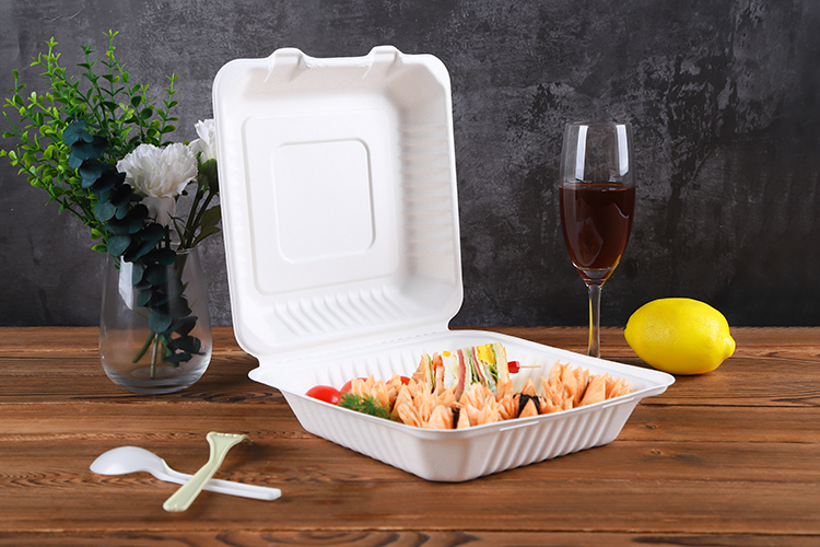 biodegradable catering sugarcane pulp molded paper food packaging