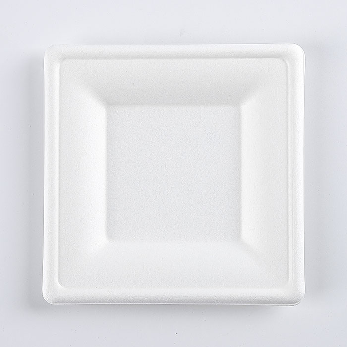 6" Natural Disposable Plates Sugarcane Bagasse Containers Compostable Paper Plate