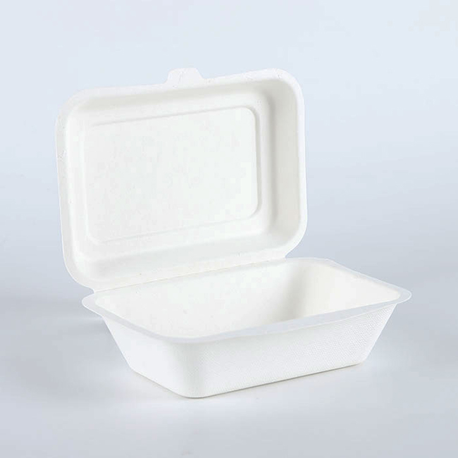 Sugarcane pulp paper packaging burger box container