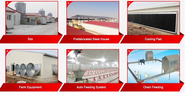 Broiler Breeder Feeding Farm Processing Equipment Feed Level Controls