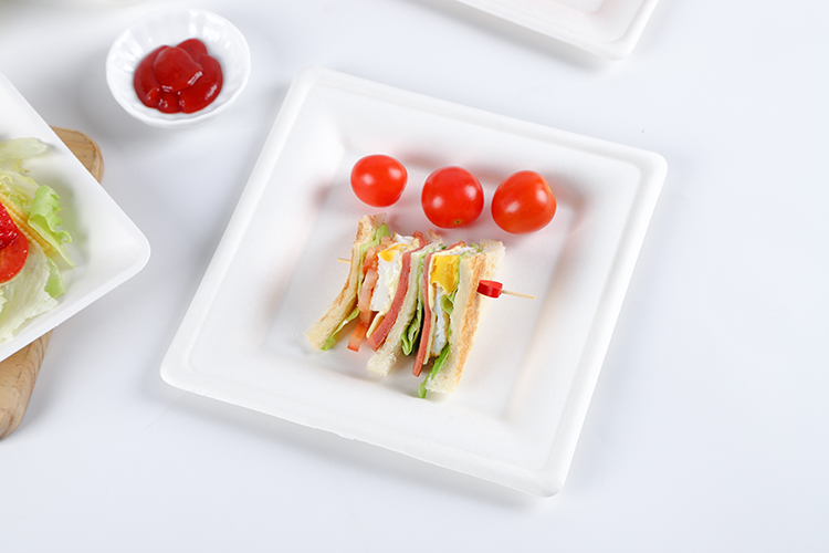 eco friendly box takeaway biodegradable food packaging disposable plates