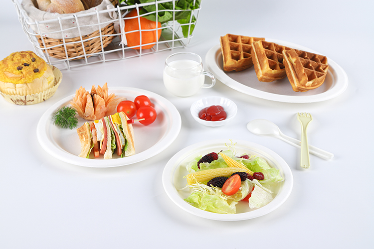 Biodegradable Sugarcane Pulp Party Dinnerware Plate Sugarcane Bagasse Paper Plate Round Disposable Plate dishes
