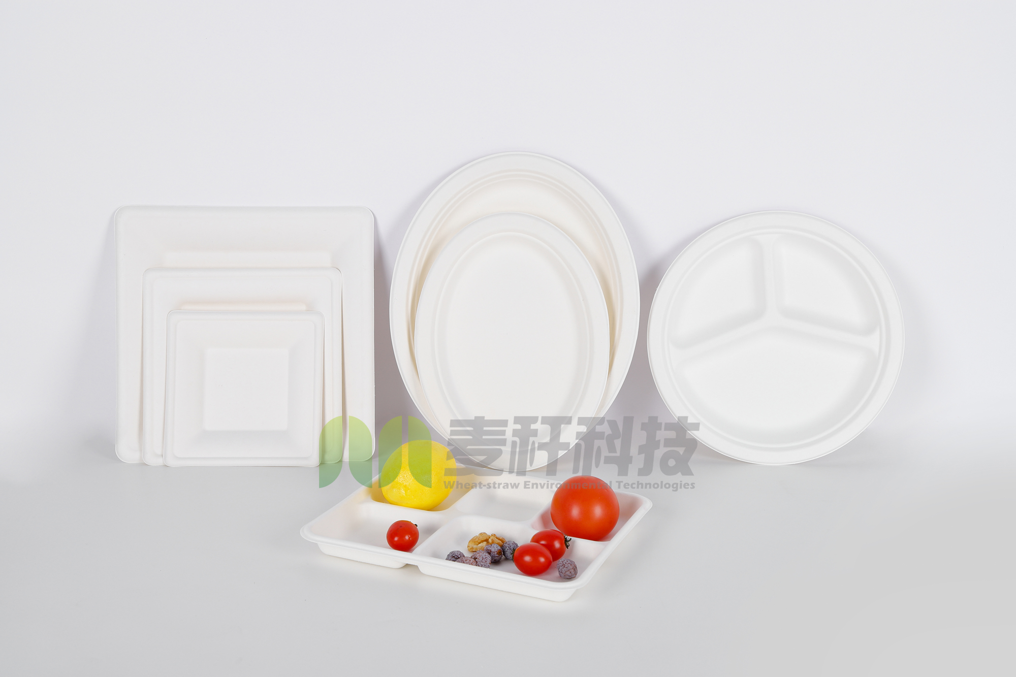 6 Inch 8 Inch 10 Inch Sugarcane Round Compostable Plates for Party
