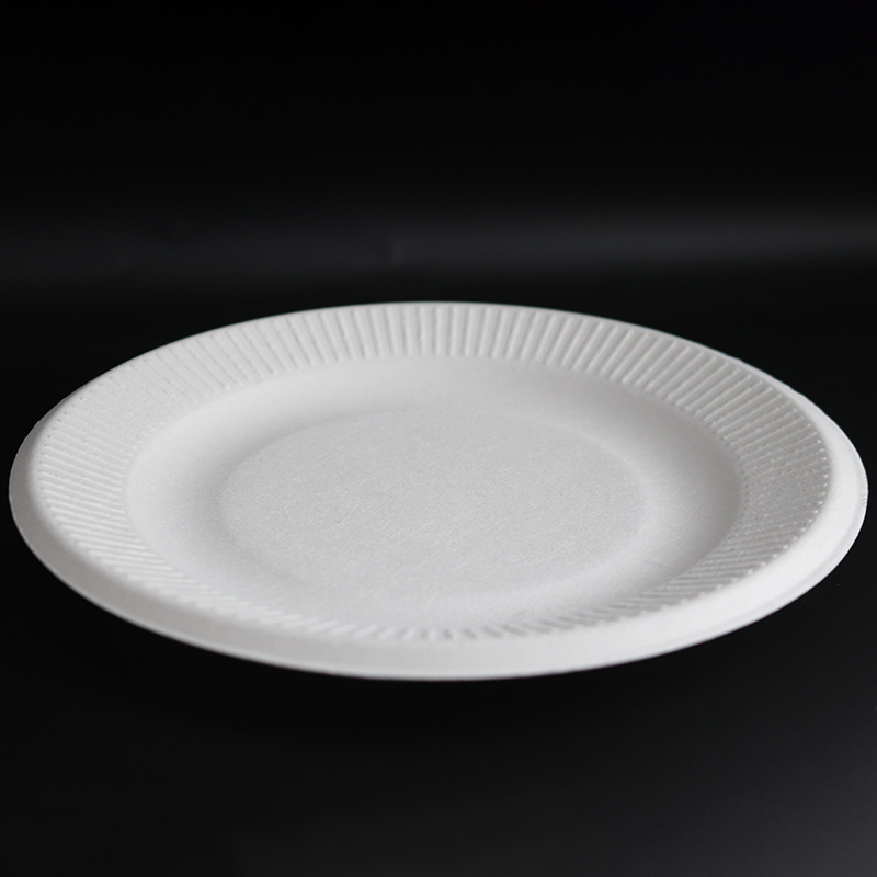 Wholesale Green Bagasse Pulp Food Containers Disposable Plate