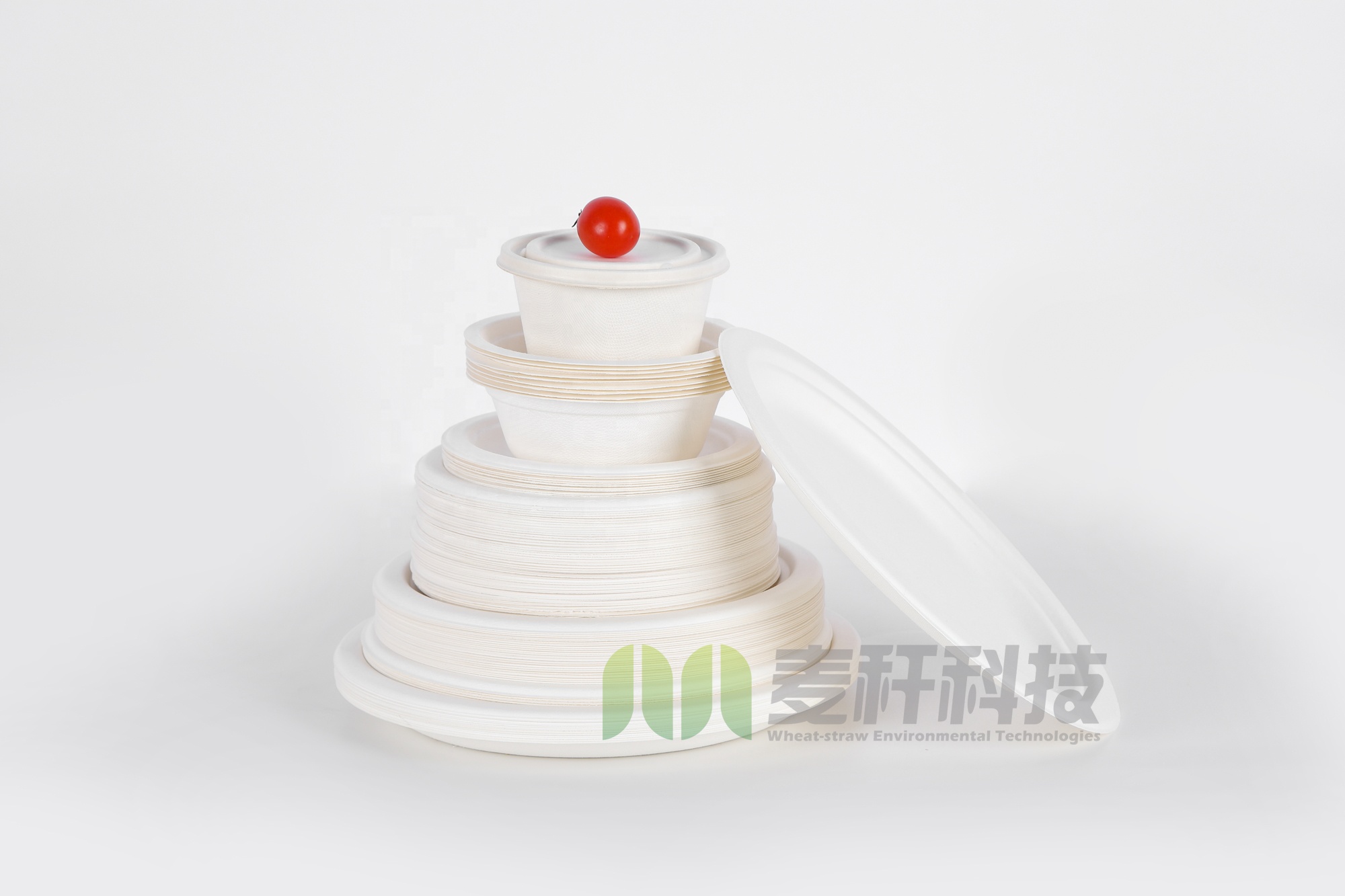 6 Inch 8 Inch 10 Inch Sugarcane Round Compostable Plates for Party