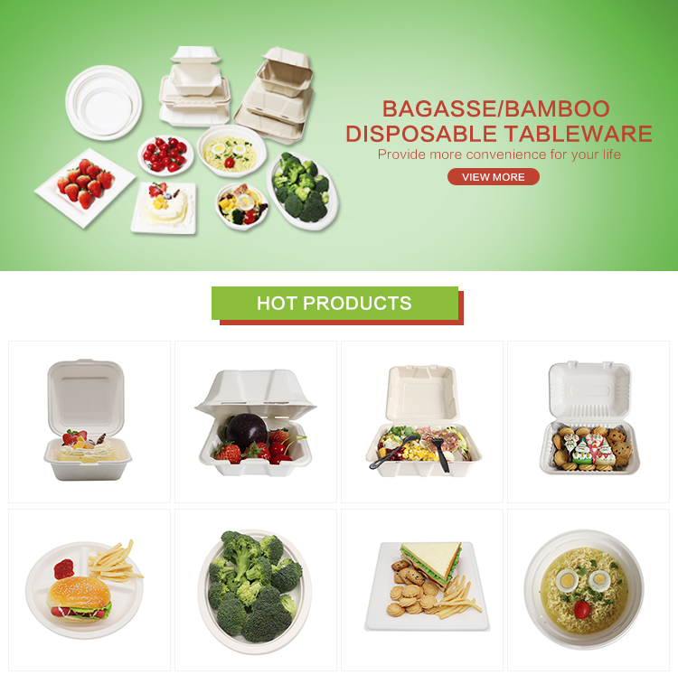 Biodegradable Food Container eco-friendly   box with bagass lid