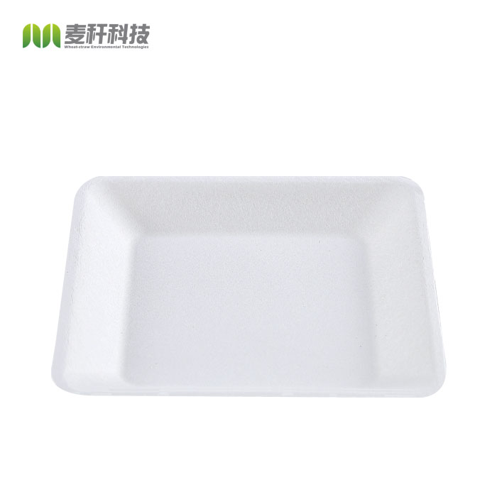 Compostable disposable bagasse food container biodegradable sugarcane tableware Bagasse Square Plate