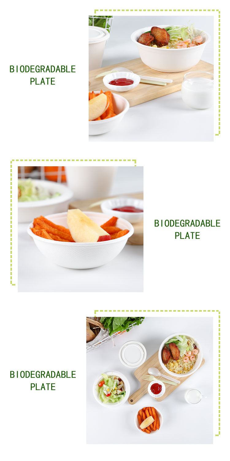 Lunch Box Disposable Sugarcane Pulp * 9 "3-grid 100% Sugarcane Bagasse Hotel Restaurant Home Other Dinnerware 470*237*54.5 B032