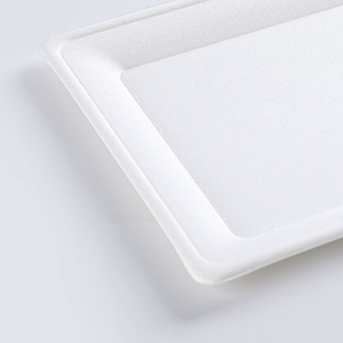 2020 new product oil and water proof biodegradable white rectangular snack plate