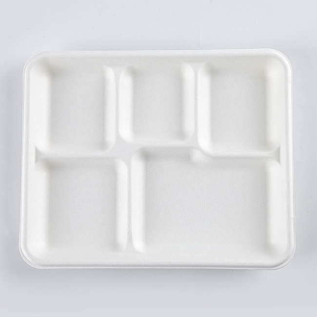 5 section Compostable Dessert Plates Sugarcane/Bagasse and Bamboo Fibre Biodegradable Disposable Paper Plate