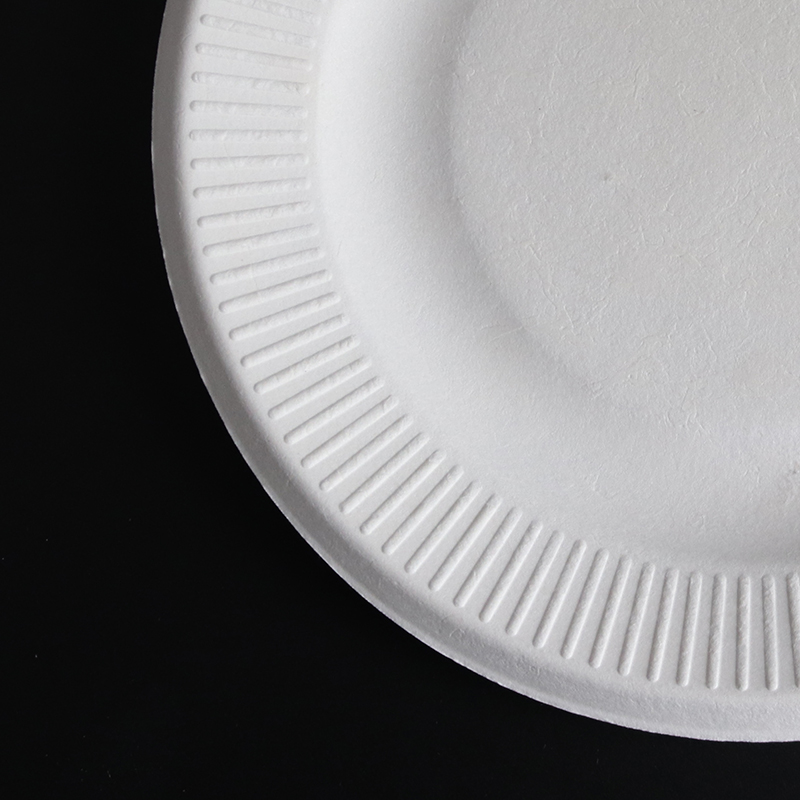 Wholesale Green Bagasse Pulp Food Containers Disposable Plate