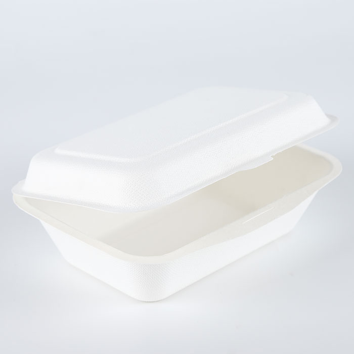 600ml sugar cane bagasse compostable takeout lunch box