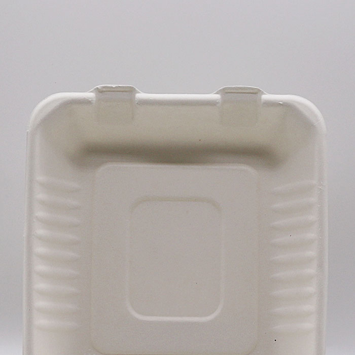 biodegradable disposable sugarcane bagasse takeaway food container packaging 3 compartment lunch box