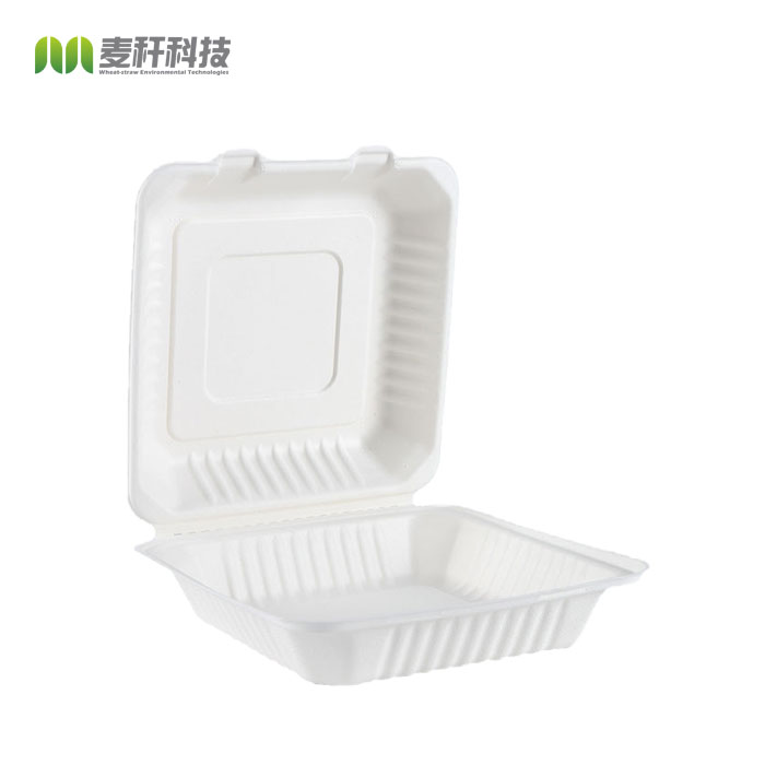 Disposable bagasse pulp food storage containers