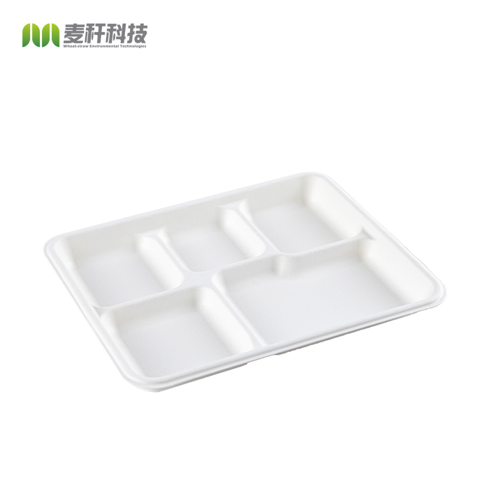 5 section Compostable Dessert Plates Sugarcane/Bagasse and Bamboo Fibre Biodegradable Disposable Paper Plate