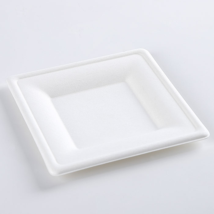 6" Natural Disposable Plates Sugarcane Bagasse Containers Compostable Paper Plate