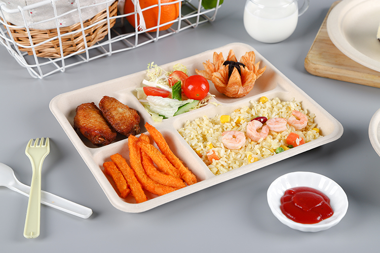 biodegradable tableware Rectangle 5 division meal snack Tray