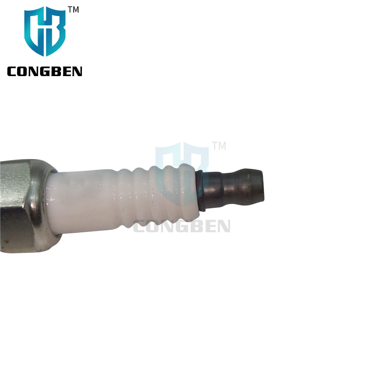 Automobile High Quality Double Platinum Spark Plugs Engines Generator 90919-01221 for Cars