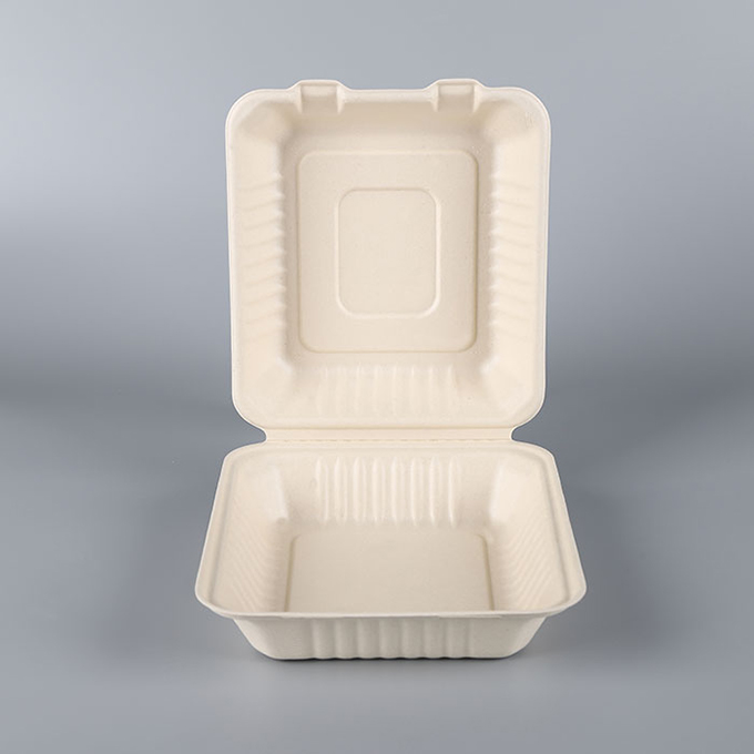 8 inches disposable Sugarcane Bagasse fiber paper clamshell food packaging box