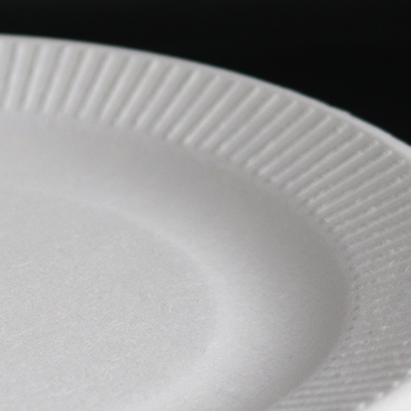 Wholesale Green Bagasse Pulp Food Containers Disposable Plate