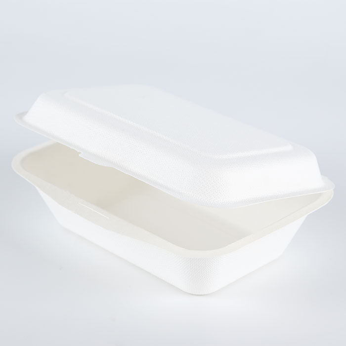 600ml sugar cane bagasse compostable takeout lunch box